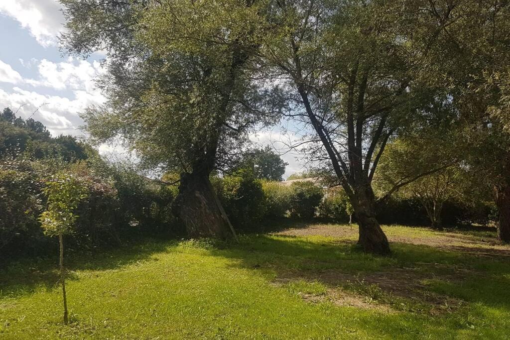 Demeure En Pierre Avec Piscine Privee Villa Etauliers ภายนอก รูปภาพ