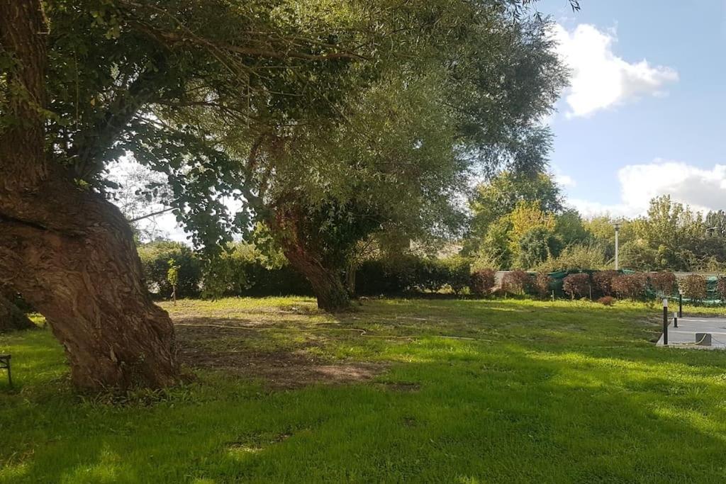 Demeure En Pierre Avec Piscine Privee Villa Etauliers ภายนอก รูปภาพ